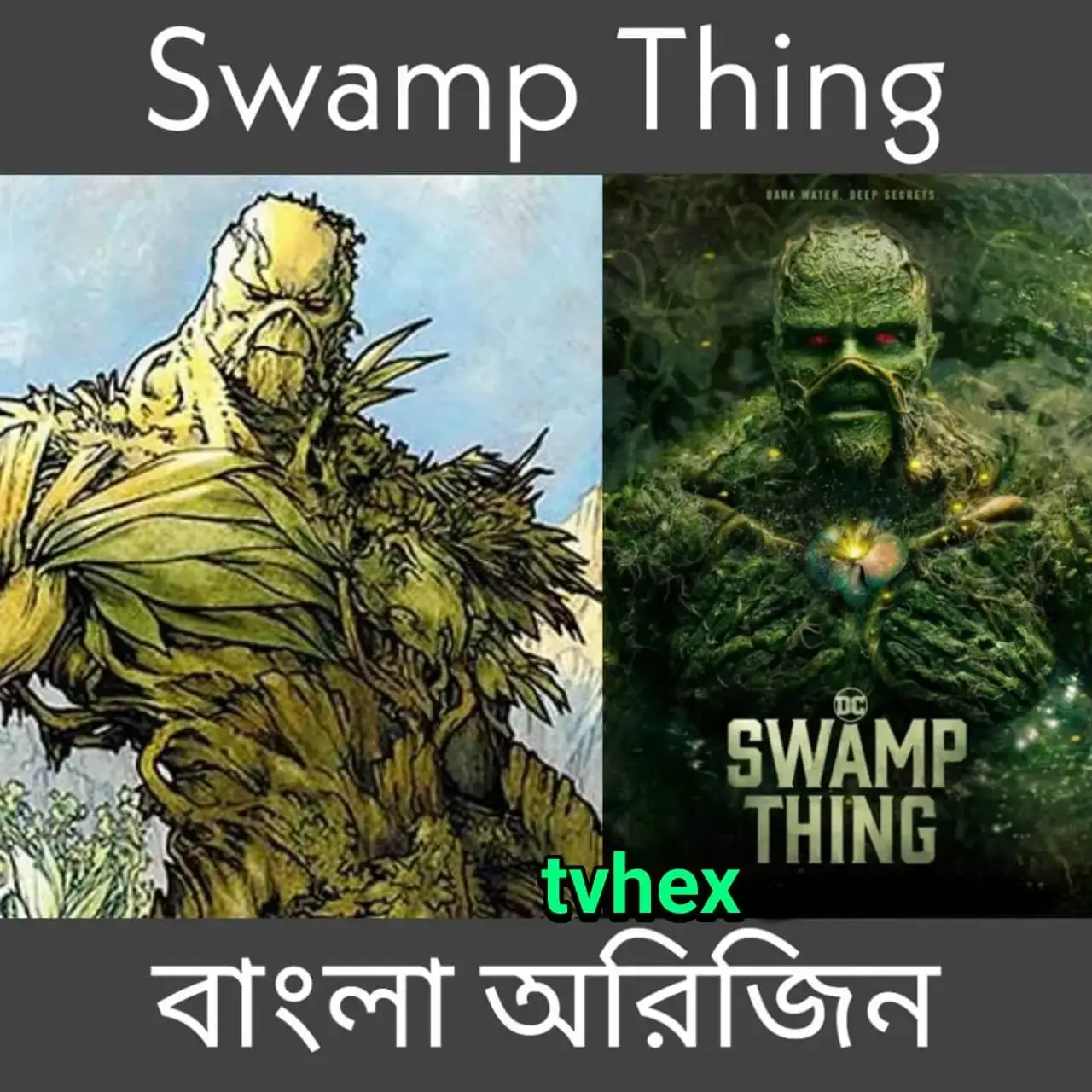 সোয়াম্প থিংস বাংলা অরিজিন - Swamp Things Bangla Origin